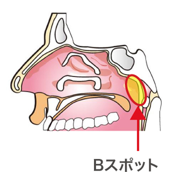 Bスポットの位置